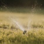 raised garden bed tips