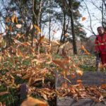 fall home maintenance checklist