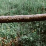 how to check for water leaks