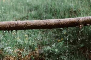 how to check for water leaks