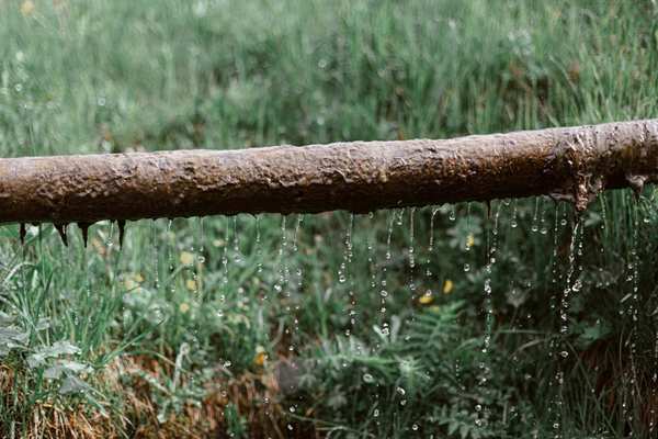 how to check for water leaks